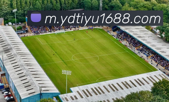 yd体育平台生态图